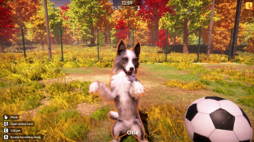動物たちとの心温まる共同生活、再び。『Animal Shelter 2』レビュー #AnimalShelter2