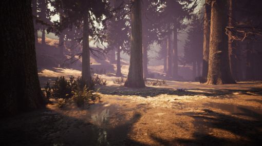 静かな森を歩くゲーム『Nephise Begins』Steamにて期間限定で無料配布中